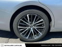 Thumbnail image of 2022 Lexus ES 250 at Stoler Lexus