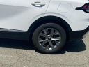Thumbnail image of 2023 Kia Sportage at South Shore Nissan