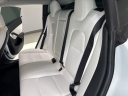 Thumbnail image of 2019 Tesla Model 3 at Luxury Imports