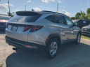 Thumbnail image of 2024 Hyundai TUCSON at WernerHyundai-New of Tallahassee, FL