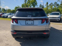 Thumbnail image of 2024 Hyundai TUCSON at WernerHyundai-New of Tallahassee, FL