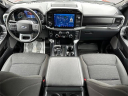 Thumbnail image of 2023 Ford F-150 at Lafontaine Ford of Lansing