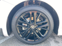 Thumbnail image of 2025 Toyota Camry at Cavender Toyota