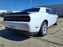 Thumbnail image of 2023 Dodge Challenger at Dearth Chrysler Dodge Jeep Ram & Gmc