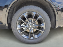 Thumbnail image of 2025 Dodge Durango at Arrigo Chrysler Dodge Jeep Ram at Sawgrass