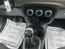 Thumbnail image of 2014 FIAT 500L at CARS ON 15