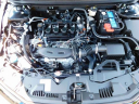 Thumbnail image of 2025 Honda Accord at Wetzel Honda