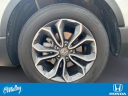 Thumbnail image of 2022 Honda CR-V at O'Malley Honda