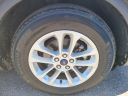 Thumbnail image of 2022 Ford Escape at Gary Smith Ford