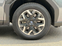 Thumbnail image of 2025 Subaru Forester at Subaru World of Hackettstown