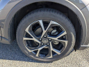 Thumbnail image of 2022 Toyota C-HR at Fitzgerald Ford Lincoln Mercury USED