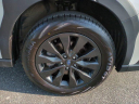 Thumbnail image of 2024 Subaru Outback at Jenkins Subaru of Ocala - NEW