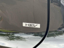 Thumbnail image of 2025 Kia Niro at JenkinsKiaOfGainesville-New of Gainesville, FL