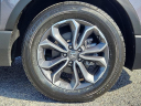 Thumbnail image of 2022 Honda CR-V at Davis Pre-owned