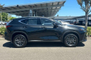 Thumbnail image of 2025 Lexus NX 350h at Freeman Lexus