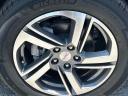 Thumbnail image of 2021 GMC Terrain at Brickell Buick & GMC