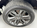 Thumbnail image of 2013 Ford F-150 at Serpentini Chevrolet of Medina