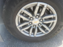 Thumbnail image of 2023 Chevrolet Colorado at Mike Maroone Chevrolet WPB