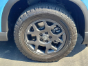 Thumbnail image of 2024 Honda Pilot at Wetzel Chevrolet