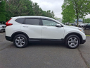 Thumbnail image of 2019 Honda CR-V at Hamilton Honda