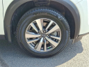 Thumbnail image of 2023 Nissan Pathfinder at Hamilton Honda