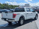 Thumbnail image of 2023 Ford F-150 at CobbCountyToyotaUSED of Kennesaw, GA