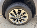 2019 Toyota RAV4 XLE Premium at Palmers Airport Hyundai