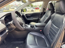 Thumbnail image of 2019 Toyota RAV4 at Palmers Airport Hyundai