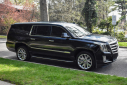 Thumbnail image of 2019 Cadillac Escalade ESV at Import Masters