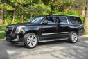 Thumbnail image of 2019 Cadillac Escalade ESV at Import Masters