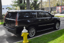 Thumbnail image of 2019 Cadillac Escalade ESV at Import Masters