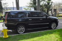 Thumbnail image of 2019 Cadillac Escalade ESV at Import Masters
