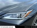 Thumbnail image of 2022 Lexus ES 250 at Stoler Lexus