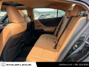 Thumbnail image of 2022 Lexus ES 250 at Stoler Lexus