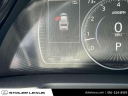 Thumbnail image of 2022 Lexus ES 250 at Stoler Lexus