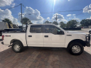 Thumbnail image of 2019 Ford F-150 at Hi Line Imports