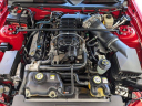 Thumbnail image of 2007 Ford Shelby GT500 at TamiamiFord of North Naples, FL
