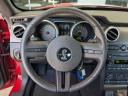 Thumbnail image of 2007 Ford Shelby GT500 at TamiamiFord of North Naples, FL