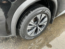 Thumbnail image of 2023 Nissan Rogue at JimMladyNissan USED