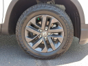 Thumbnail image of 2024 Honda Ridgeline at Hamilton Honda