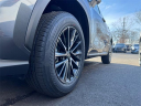 Thumbnail image of 2025 Lexus NX 350 at Lexus of Smithtown