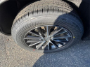 Thumbnail image of 2025 Lexus NX 350 at Lexus of Smithtown