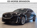 Thumbnail image of 2021 Cadillac CT5 at Brandon Auto Mall By Ed Morse