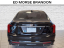 Thumbnail image of 2021 Cadillac CT5 at Brandon Auto Mall By Ed Morse