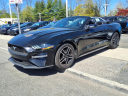Thumbnail image of 2021 Ford Mustang at Autoland Usa
