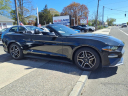 Thumbnail image of 2021 Ford Mustang at Autoland Usa