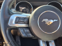 Thumbnail image of 2021 Ford Mustang at Autoland Usa
