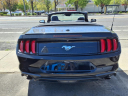 Thumbnail image of 2021 Ford Mustang at Autoland Usa