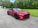 Thumbnail image of 2022 Ford Mustang at SEXTON AUTOMOTIVE OF OAK RIDGE