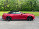 Thumbnail image of 2022 Ford Mustang at SEXTON AUTOMOTIVE OF OAK RIDGE